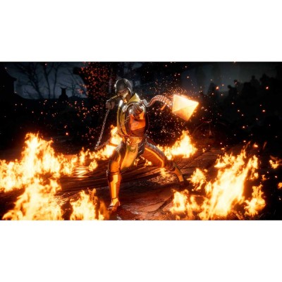 Гра Mortal Kombat 11 для NINTENDO Switch