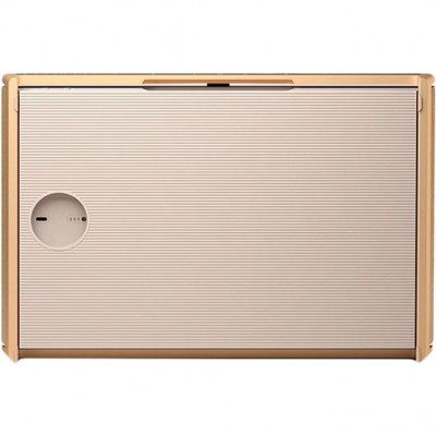 Портативна акустика BANG & OLUFSEN Beosound Level Gold Tone Alu/Light Oak (1200498)