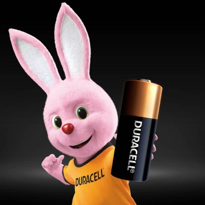Батарейки DURACELL MN21 BLN алкалінові 01x10 2 шт (5007812)