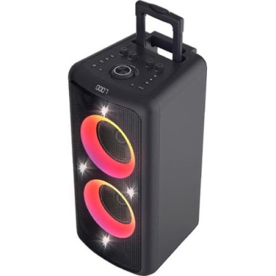 Портативна акустика F&D PA300 Black (PA300)