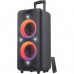 Портативна акустика F&D PA300 Black (PA300)