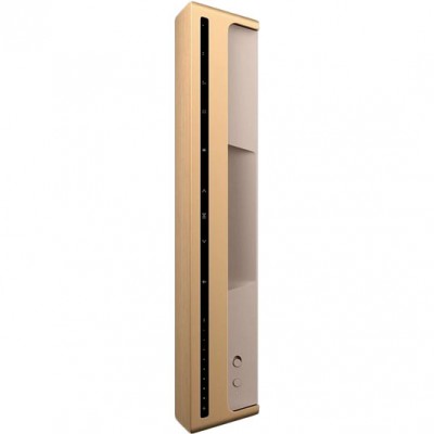 Портативна акустика BANG & OLUFSEN Beosound Level Gold Tone Alu/Light Oak (1200498)