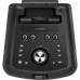 Портативна акустика F&D PA300 Black (PA300)