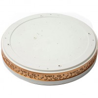 Стельовий смарт-світильник YEELIGHT Flamia Ceiling Light Mini 350 мм (YLXD2801CN) Стельовий смарт-світильник YEELIGHT Flamia Ceiling Light Mini 350 мм (YLXD2801CN)