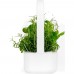 Стартовий набір Click&Grow 8868 SG9 White (4742793008868)