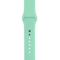 Ремінець ARMORSTANDART Sport Band (3 Straps) для Apple Watch 38/40/41mm Succulent (ARM65081)