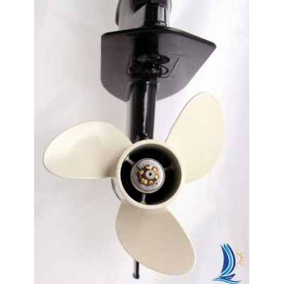 Лодочный мотор Parsun F6A BMS (DC) Лодочный мотор Parsun F6A BMS (DC)